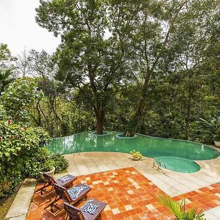 The Windflower Resort & Spa, Coorg Suntikoppa Luaran gambar