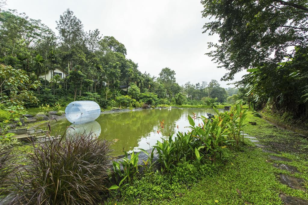 The Windflower Resort & Spa, Coorg Suntikoppa Luaran gambar