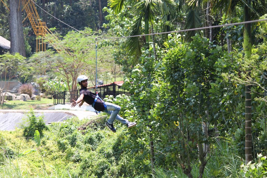 The Windflower Resort & Spa, Coorg Suntikoppa Luaran gambar