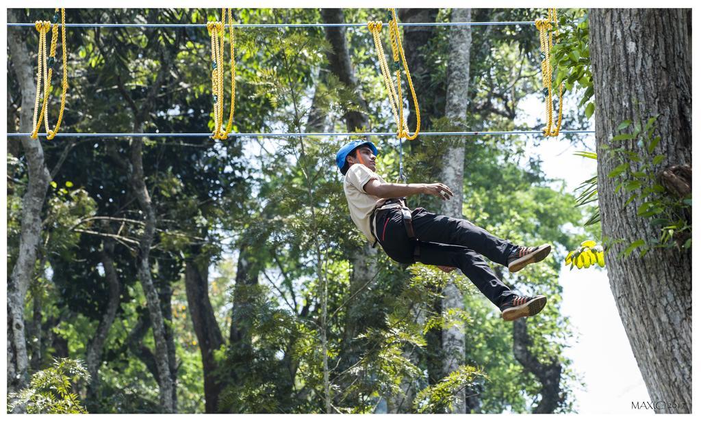 The Windflower Resort & Spa, Coorg Suntikoppa Luaran gambar